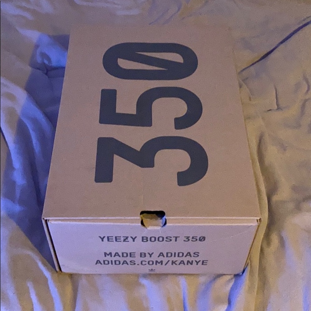 Yeezy 350 box